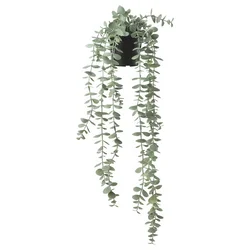 FEJKA Veštačka biljka u saksiji, unutra/spolja viseće/eukaliptus, 9 cm