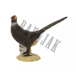 SRT Target 3D Black Pheasant