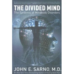 Divided Mind