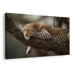 Slika leopard počiva na drevesu - 30x20