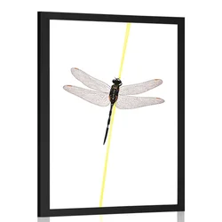 Plakat čarobnost kačjega pastirja - 40x60 no frame