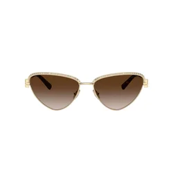 Tiffany Naočare za sunce TF 3107KB 62123B