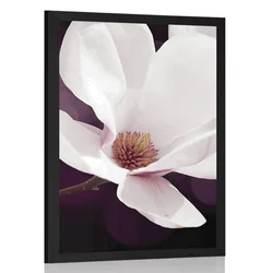 Plakat cvet magnolije na abstraktnem ozadju - 20x30 white