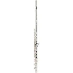 Flavta PS 505 CEF Sonare Powell