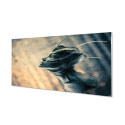 tulup.si Steklena slika Oblika glave 100x50 cm 2 obešalnika