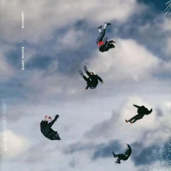 Giant Rooks - Rookery (2 LP)
