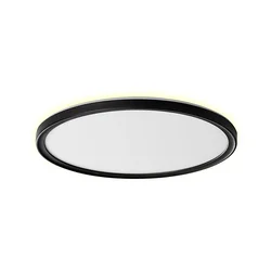 Prezent 27312 - LED plafonsko svetlo za kupatilo CORDIA LED/18W/230V IP54 crno