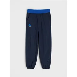 Sinsay - Planinarske pantalone Active - mornarsko