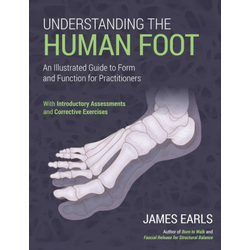 Understanding the Human Foot: An Illustrated Guide to Form and Function for Practitioners