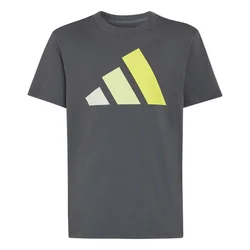 Adidas J BL TEE 160, dječija majica, siva KRJ94