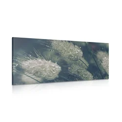Slika kaplje rose na travi - 60x30