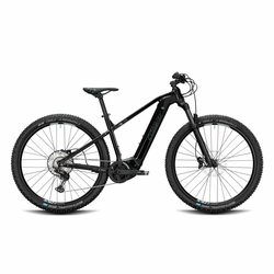 E-GORSKO KOLO CONWAY CAIRON S 729 2020