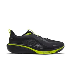 Nike Pegasus 42 GTX