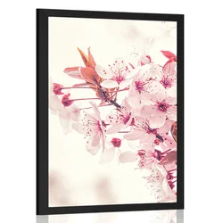 Plakat rožnati cvetovi češnje - 60x90 black