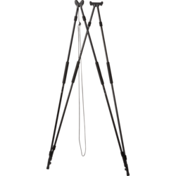 Shooting stick