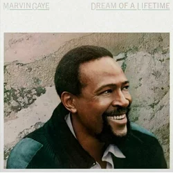 Marvin Gaye ?– Dream Of A Lifetime,
