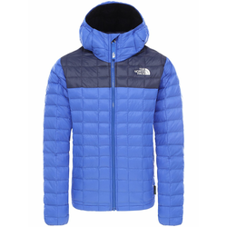 THE NORTH FACE Thermoball Eco Hooded Jacket tnf blue Gr. M