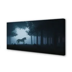 tulup.si Slika na platnu Las noč samorog 120x60 cm