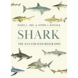 Shark