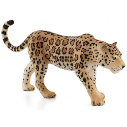 Moj Leopard