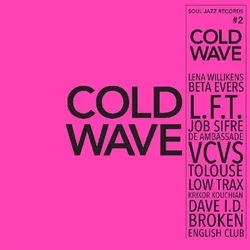 Various Artists - Cold Wave #2 (2 LP)