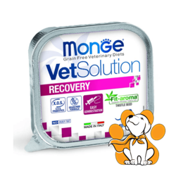 Monge VetSolution Recovery 100g, Dijetalna Hrana Za Mačke Za Oporavak Organizma