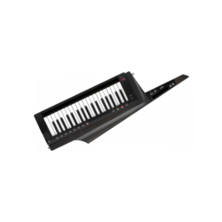 Korg RK-100S 2 BK