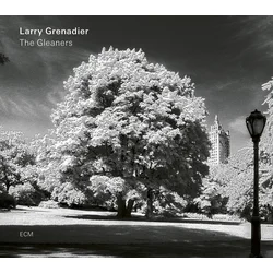 Larry Grenadier - The Gleaners (LP)