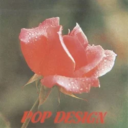 POP DESIGEN THE BEST OF