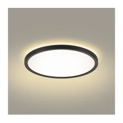 Brilagi - LED kupatilsko svetlo ULTRA SLIM LED/12W/230V prečnik 22,5 cm crno IP54