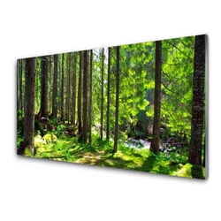 tulup.si Slika na steklu Narava rastlin forest trees 140x70 cm 4 obešalnika