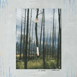 S. Carey - Watercress (EP)