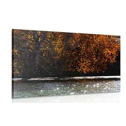 Slika odsev listja v jezeru - 60x40