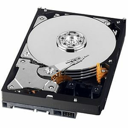 WD trdi disk 500GB SATA 6GBS INTELLIPOWER 64MB GREEN(WD5000AZRX)