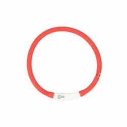 Duvo+ Ogrlica za pse, Svetleća Usb Silikonska, 45cm, Crvena