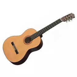 FLIGHT klasična gitara C-100 4/4 NA