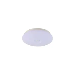LED plafonsko svetlo sa senzorom OPAL LED/12W/230V 4000K