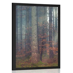 Plakat skrivnost gozda - 40x60 no frame