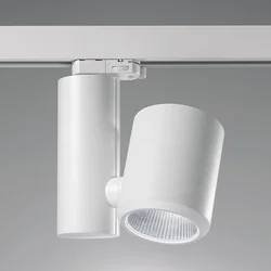 Egger Licht Egger DLS LED reflektor Kent, bela, 4.000 K 26° - Hodnik - Sodobni - Kovina