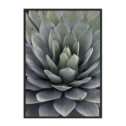 shumee PLAKAT V OKVIRJU 53x73 cm Listi P1040