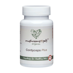 Cordyceps Plus (500 mg) 60 kom