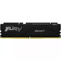 Kingston Fury Beast 16GB DDR5-5600 DIMM PC5-44800 CL40, 1.25V