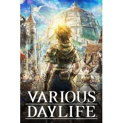 VARIOUS DAYLIFE (PC) Steam Key GLOBAL