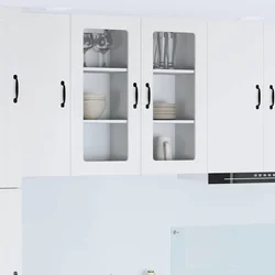 Zidni stakleni ormarić PORTO 2 pcs Bijelo 40 x 31 x 80 cm