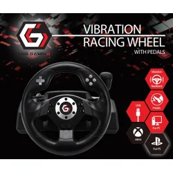 STR-M-40 ** Gembird RACEMASTER PC racing whee lPC/PS3 Direct-X-X-input (4399)