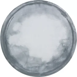 Plitev krožnik Bauscher Smart premera 26,1 cm, dekor Coast (6 kos)