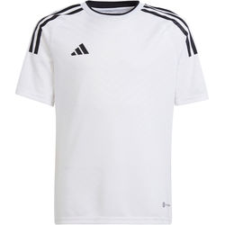 Dres adidas CAMPEON 23 JSYY
