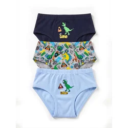 ÖTS Spodnjice ÖTS Herren Slip mešane barve