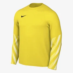 Nike M NK DF PARK V GK JSY LS