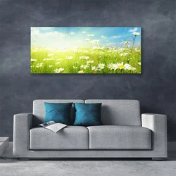tulup.si Slika na platnu Daisy travnik narava 125x50 cm
